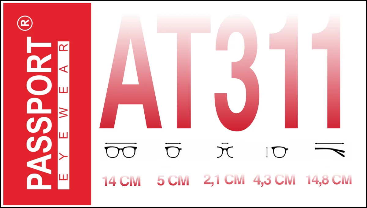 Passport AT311